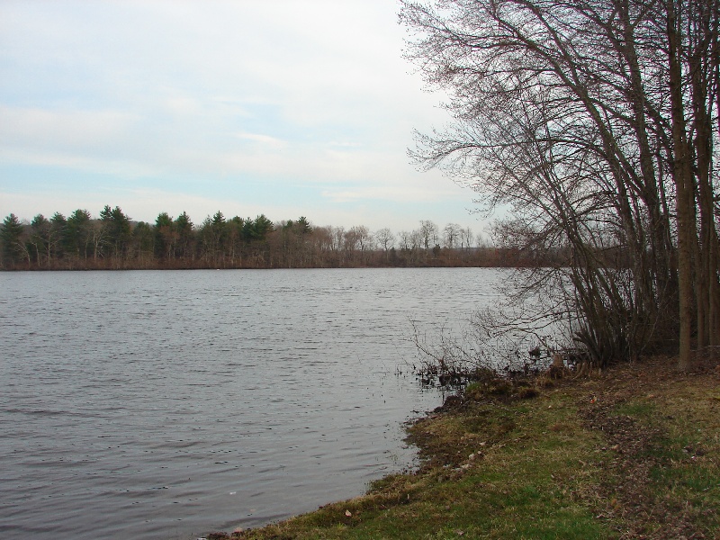 Avery Pond
