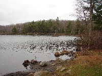Mohawk Pond