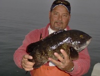 Another Nov Blackfish trip Fishing Report