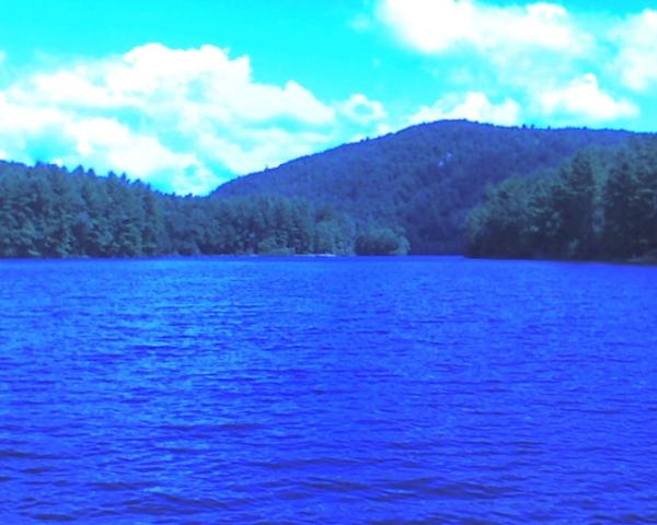 Lake McDonough near Canton