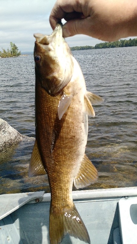 East Grand Lake small mouth 2