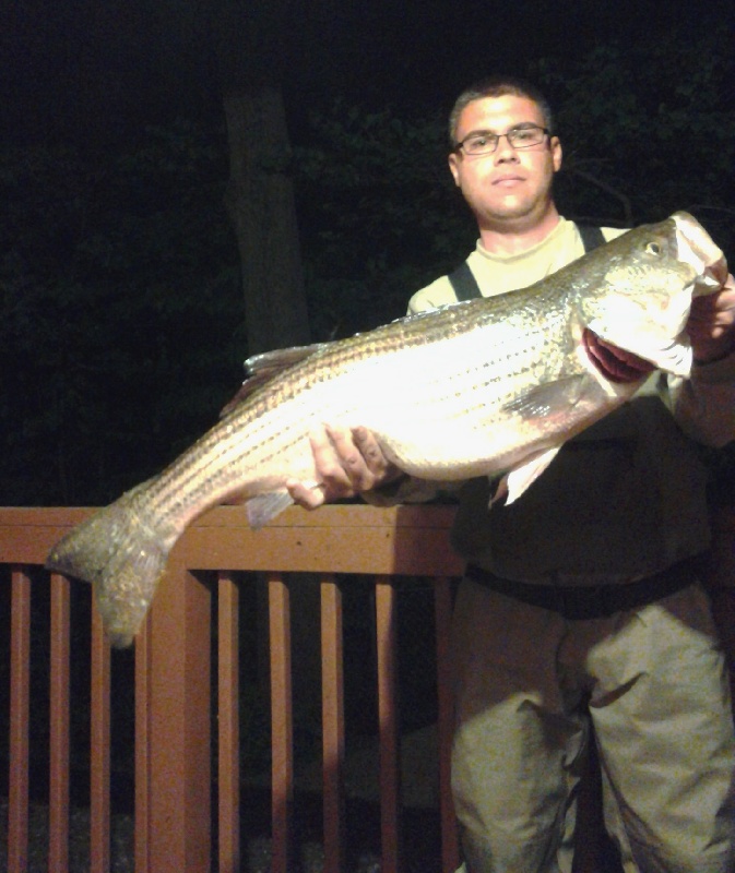 35" 16 pound 3 ounce striper May 2015