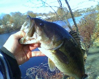 sat 5 mile pond for a few casts Fishing Report