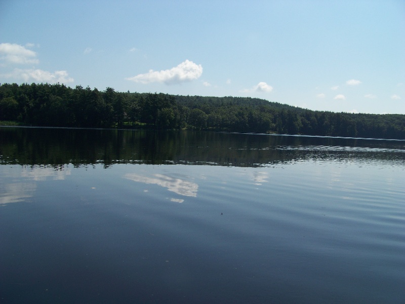 RoseLand Lake View near South Woodstock