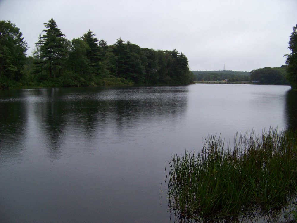 Morey Pond View