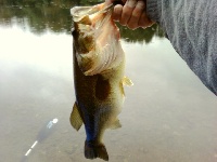 Biggest catch this year!!