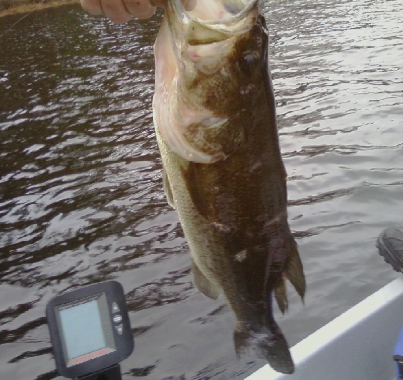 2.43 lbs 18.2inches near South Woodstock