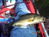 Mansfield Hollow spring 2012 Fishing Report