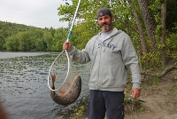 Connecticut River Carp Fishing Report