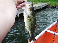 Private Lake In CT Fishing Report