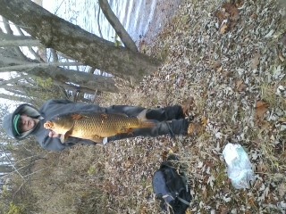 nice carp in the cold