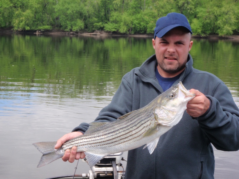 25" striper