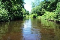 Fenton River