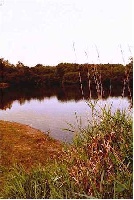 Moosup River