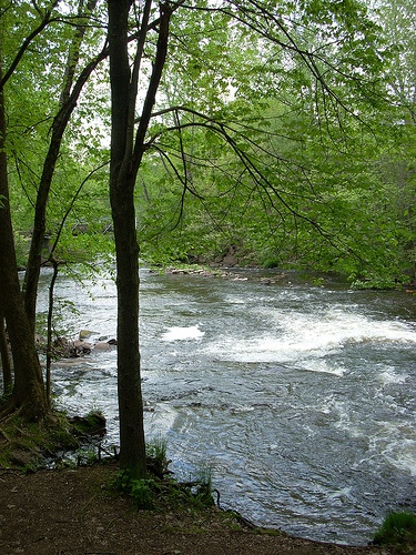 Scantic River