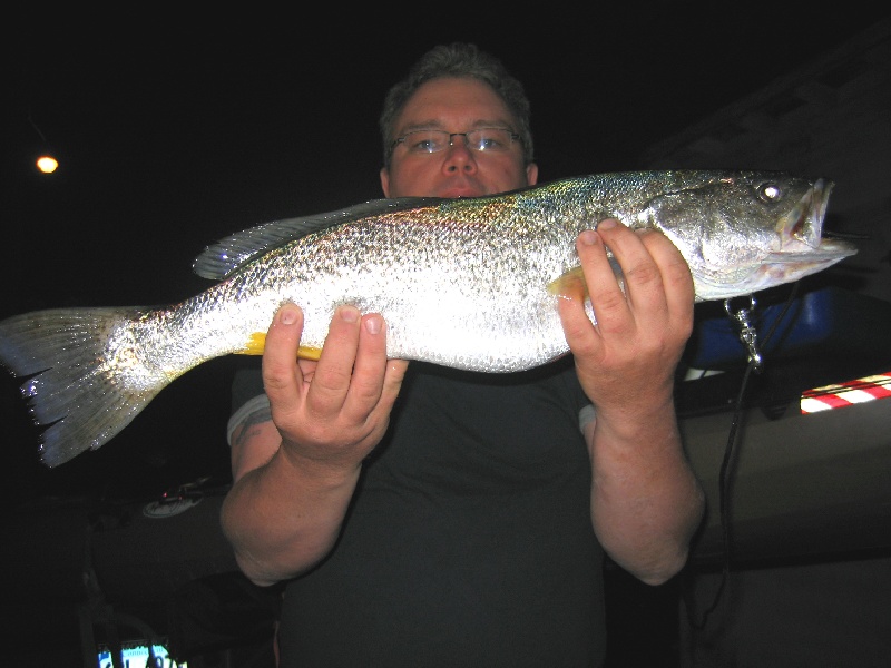CT, WEAKFISH near New Haven