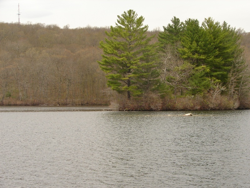 Halls Pond