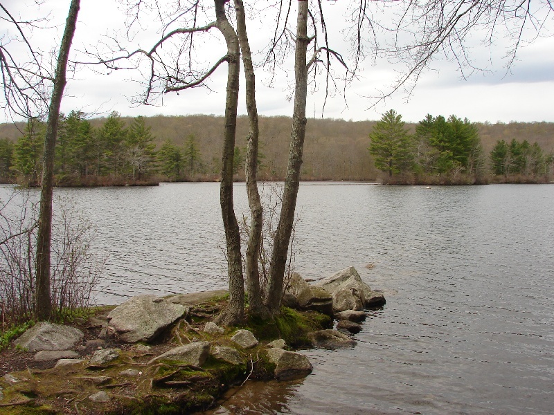 Halls Pond