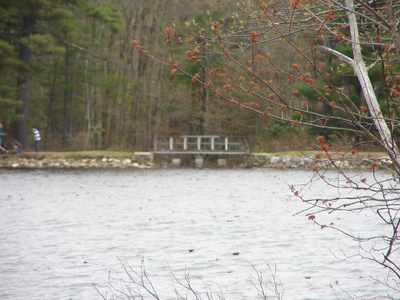 Pine Acres Lake