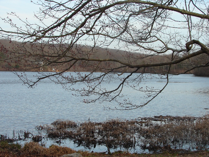 Amos Lake