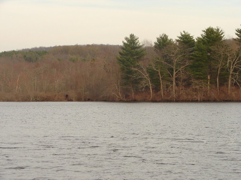 Avery Pond