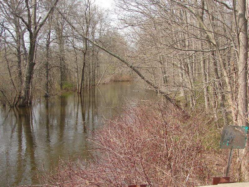 Coginchaug River