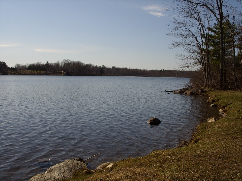 Dog Pond