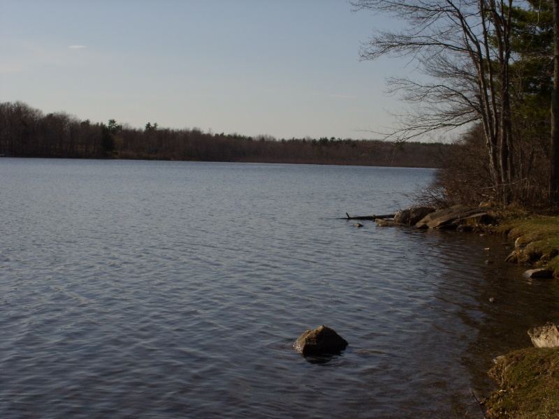 Dog Pond