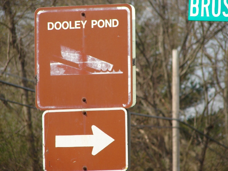 Dooley Pond