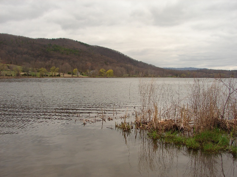 Mudge Pond