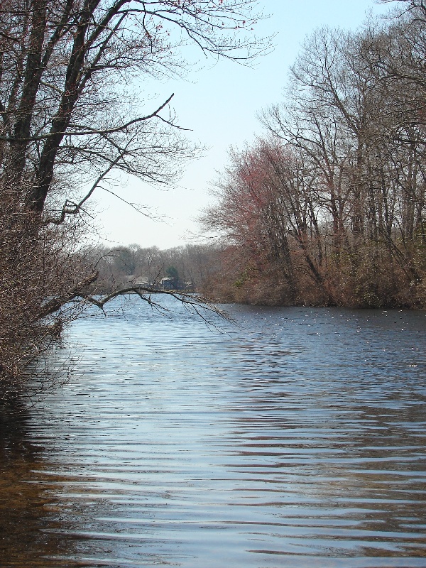 Rogers Lake