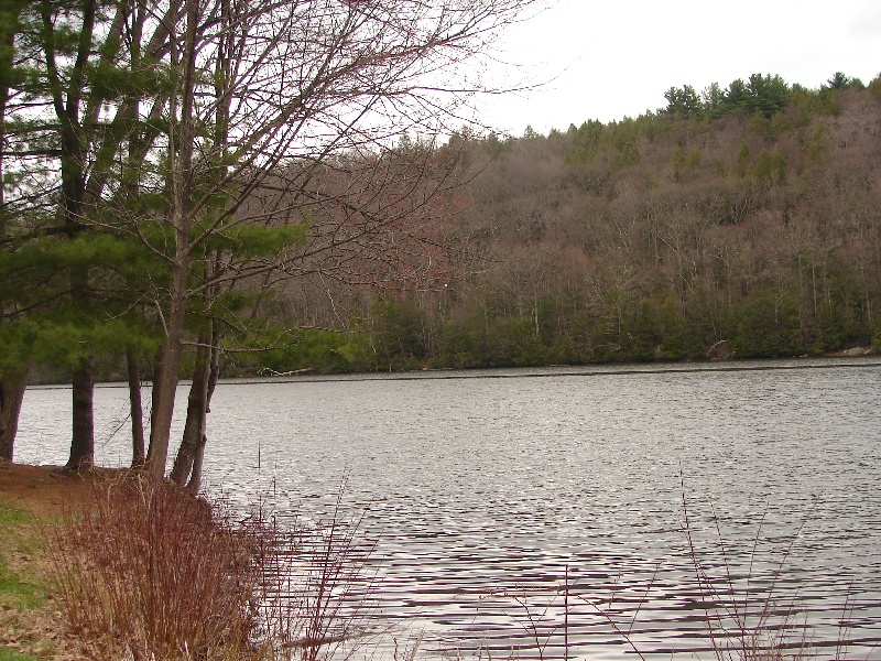 Stillwater Pond