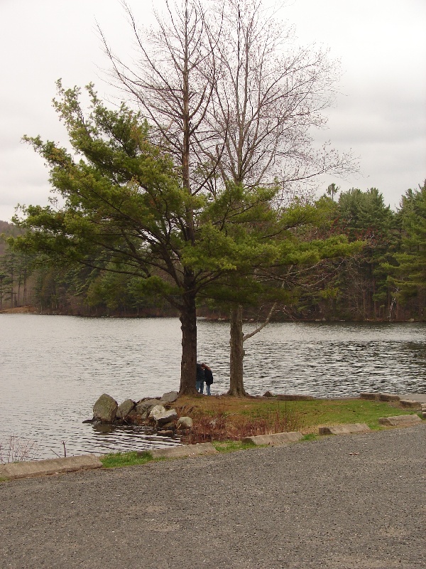 Stillwater Pond