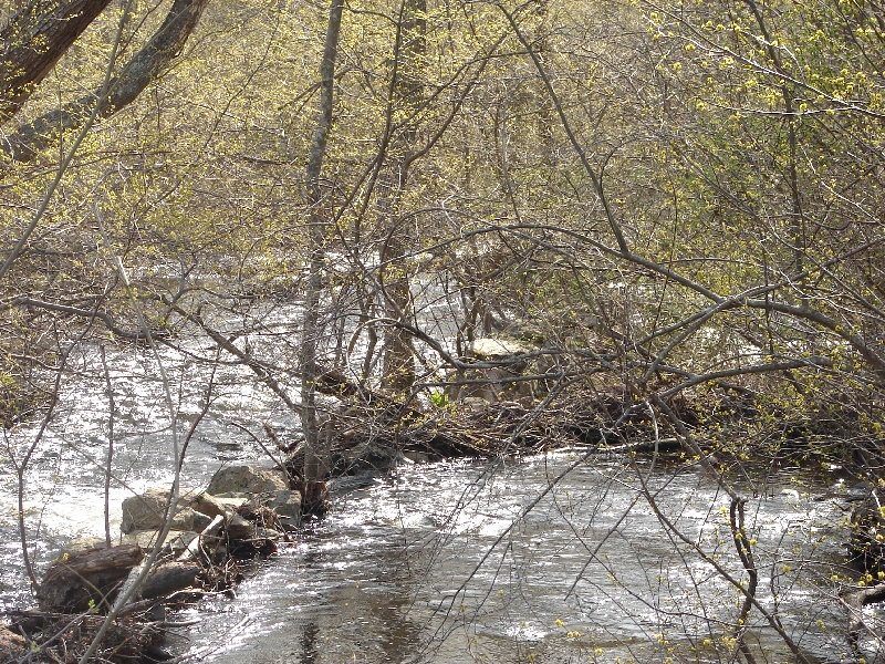 Whitford Brook near Old Mystic