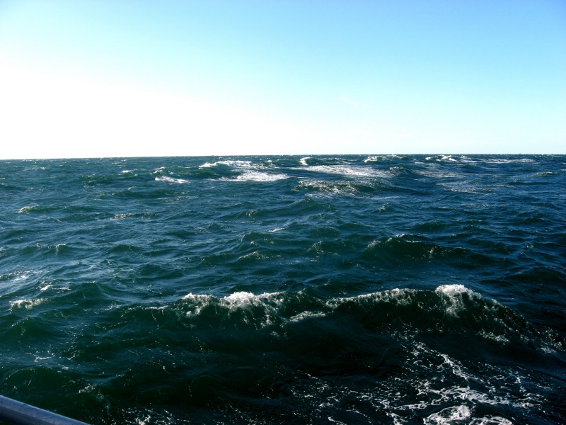 Rough seas