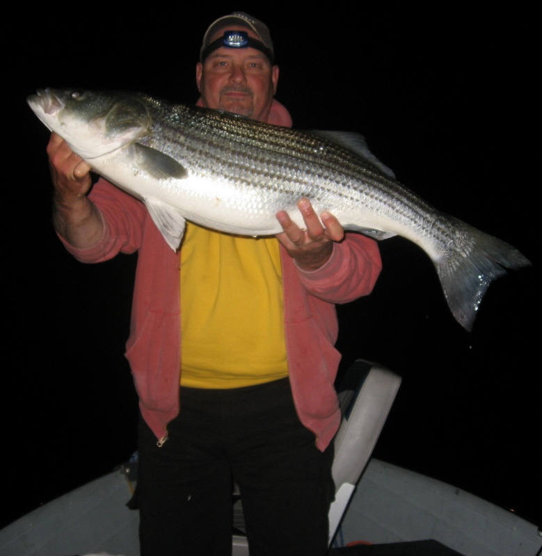 spring striper ct river 36"