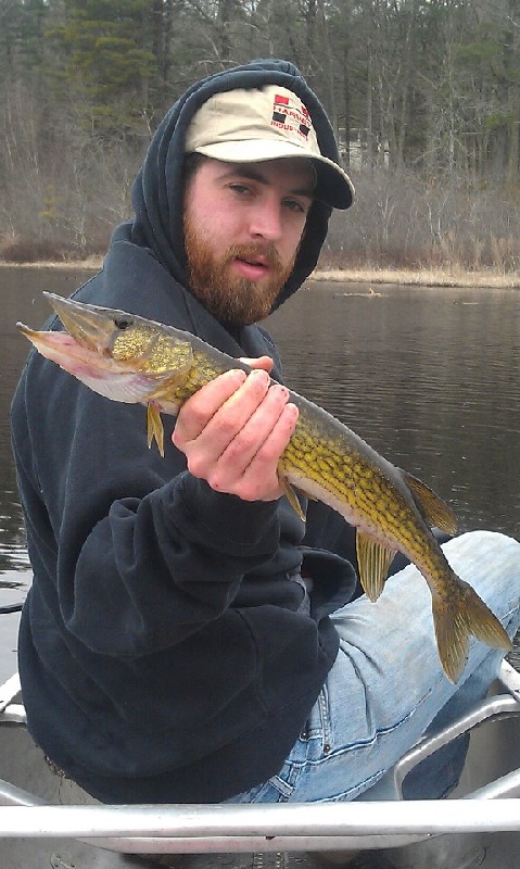 Pickerel