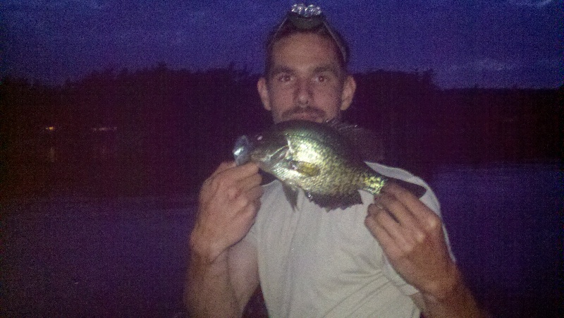 crappie