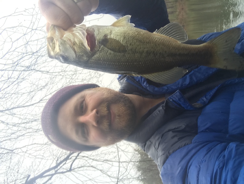 Farmington Bass 