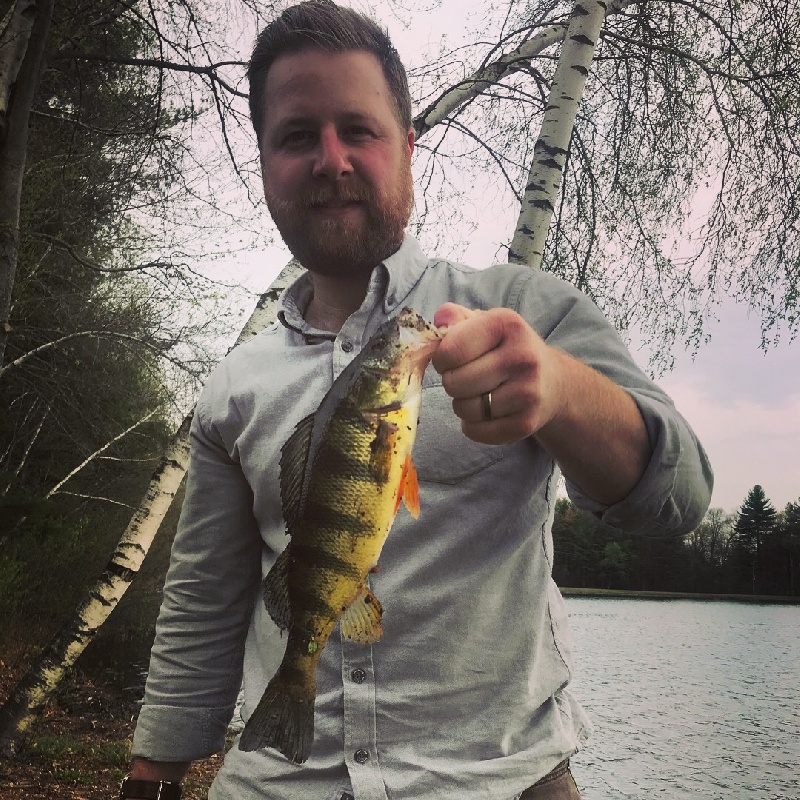 Yellow Perch 