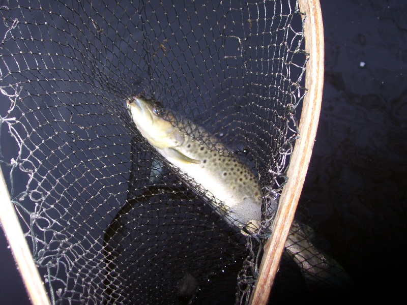 natchaug river