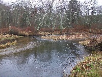 Skungamaug River