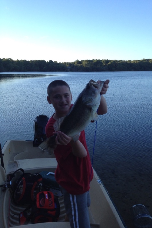 Pb largemouth bass