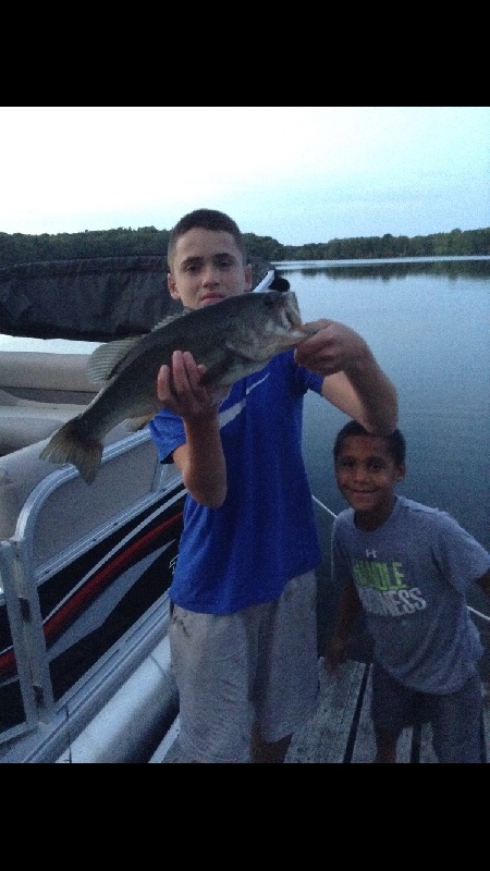 Lovells pond hog