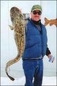 Burbot(aka Cusk)