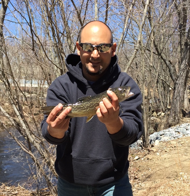 Trout near Bridgeport