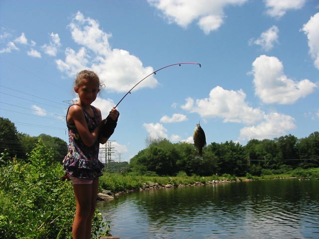 LIZZY FISH-ON