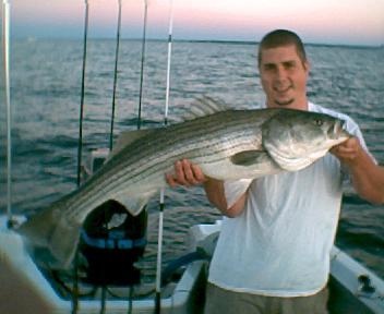 striper