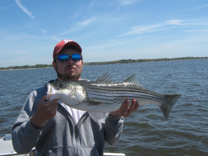 First Striper of 2011 near Old Saybrook Center