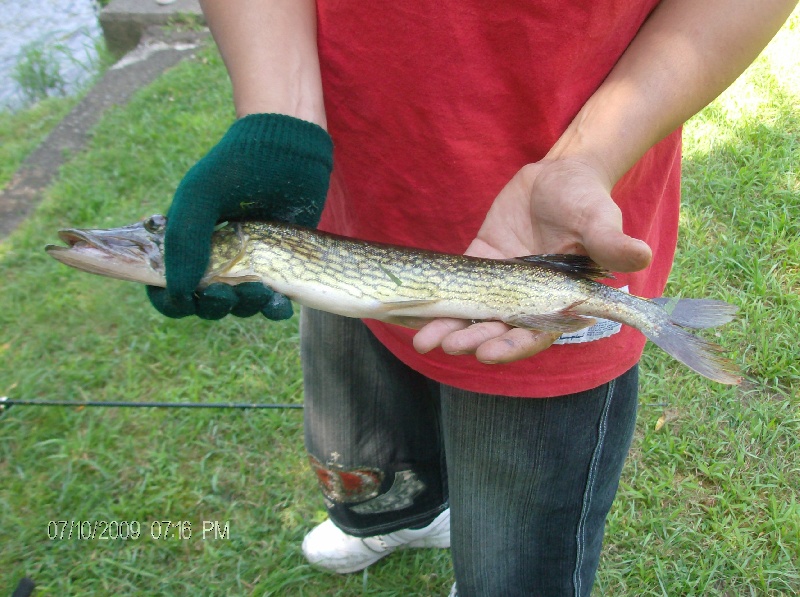 my first cast in millpond